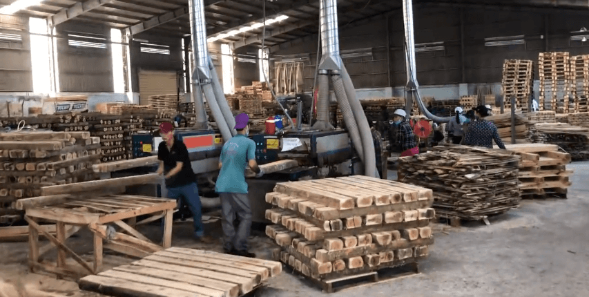 原木多片鋸生產(chǎn)線(xiàn)，越南????客戶(hù)使用現(xiàn)