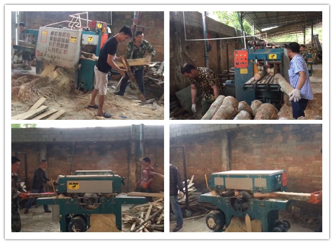 南海三亞--雙排鏈原木多片鋸、簡易板式多片鋸工作圖