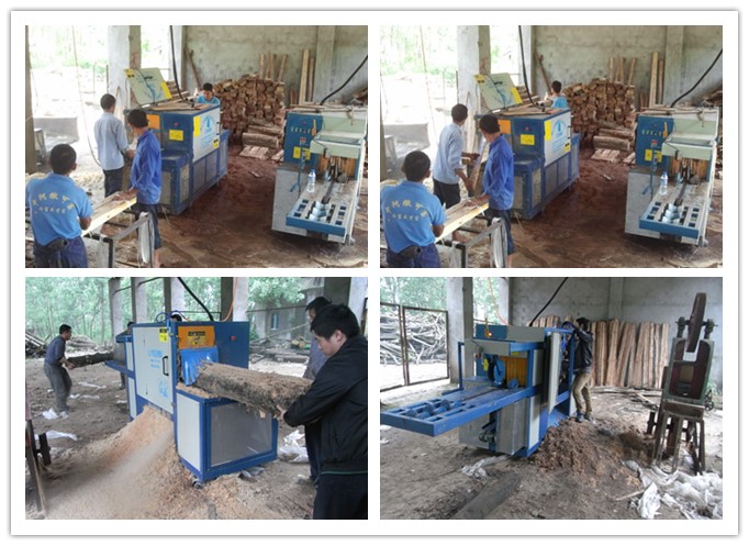 湖南岳陽(yáng)--原木多片鋸、方木多片鋸工作圖