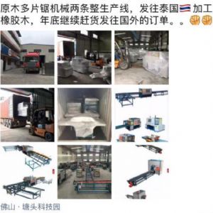 發(fā)往泰國客戶的400機型-250型原木多片鋸生產(chǎn)線專柜