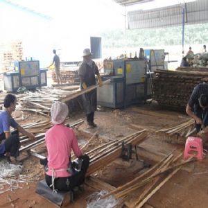 海南島-方木多片鋸加工現(xiàn)場