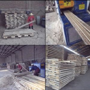 河北省-廊坊-圓木-方木多片鋸-加工現(xiàn)場(chǎng)