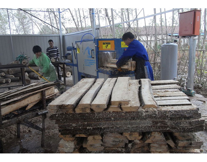 原木多片鋸-安徽合肥舒城加工現(xiàn)場